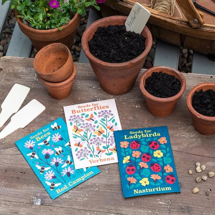 Flower and Seed Set - Little Whispers