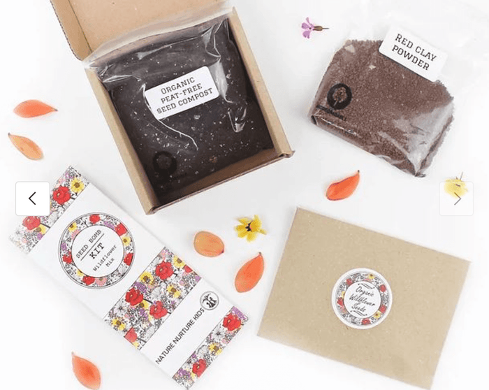 Flower and Seed Set - Little Whispers