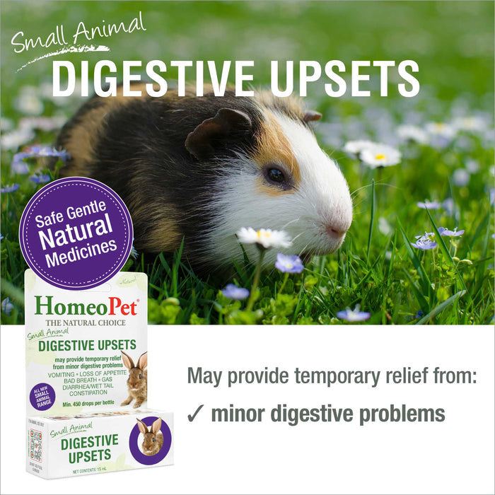 SMALL ANIMAL DIGESTIVE UPSETS