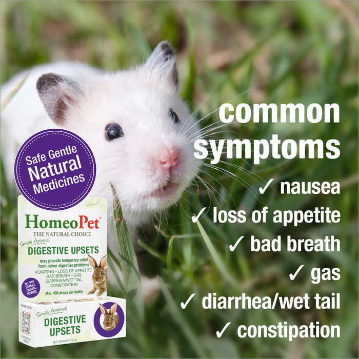 SMALL ANIMAL DIGESTIVE UPSETS