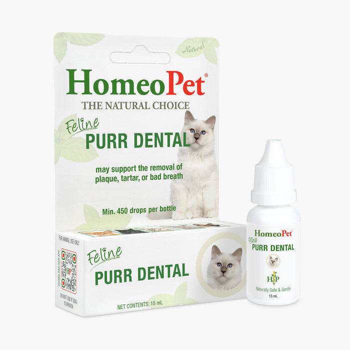 Starter Cat Pack