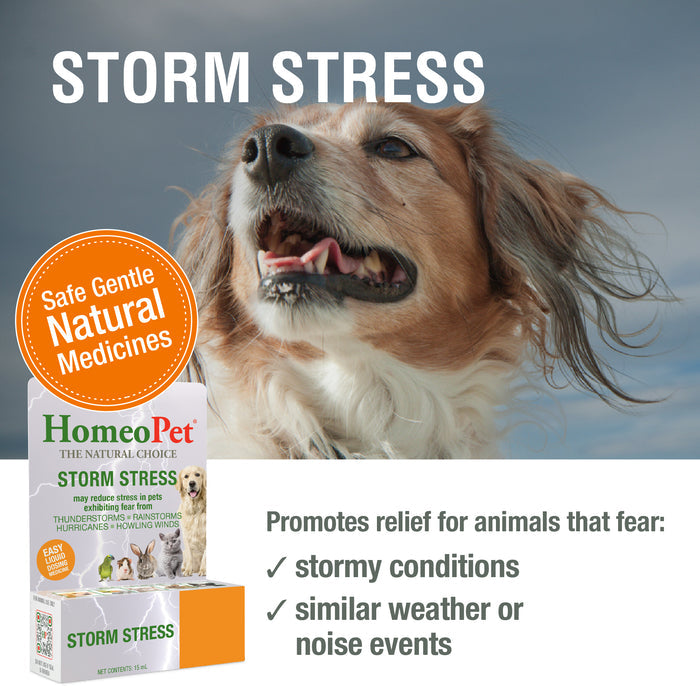 STORM STRESS