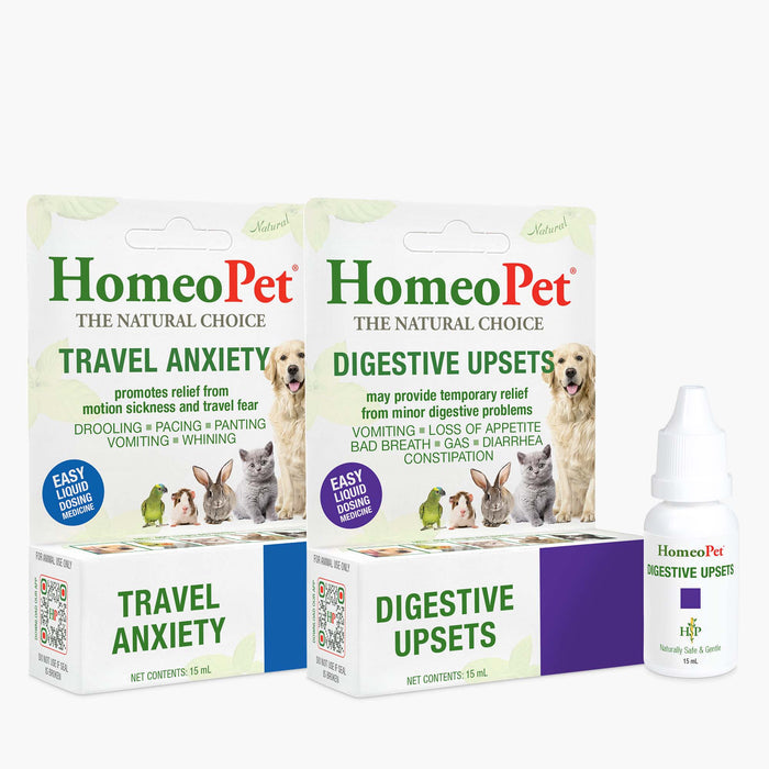 Summer Vacation/Travel Pack 1