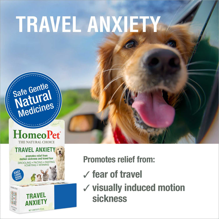 Summer Vacation/Travel Pack 1