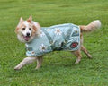 SUPREME DOG COAT OLIVE DAISIES
