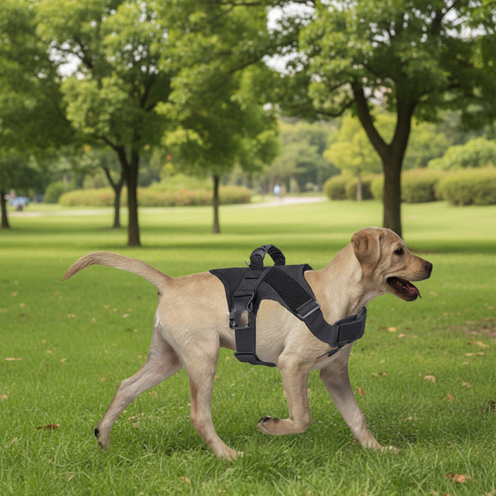 Adjustable tactical dog harness and training collar vest from dealonlinenz, featuring a durable chest strap for walking and control.