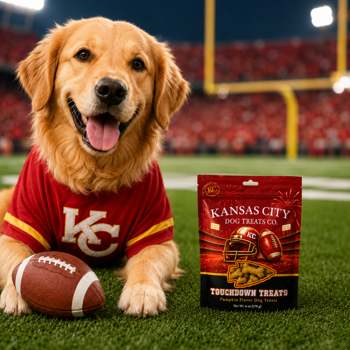 Touchdown Treats Pumpkin Flavor Dog Treats