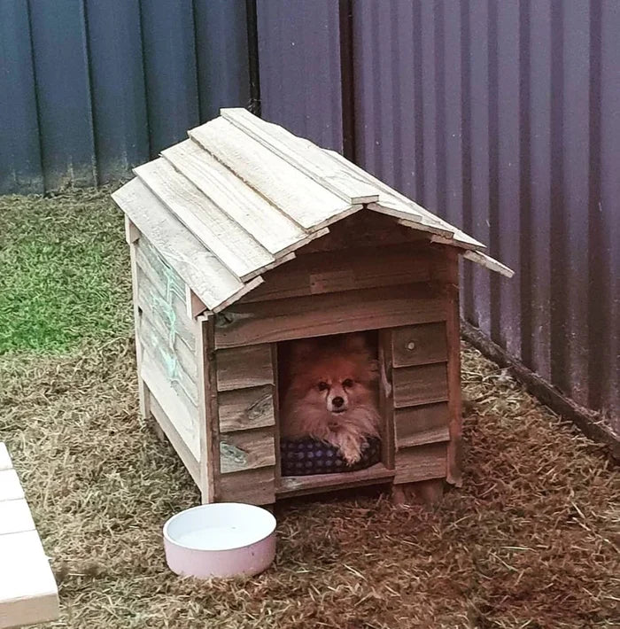 TRADITIONAL KENNEL SMALL