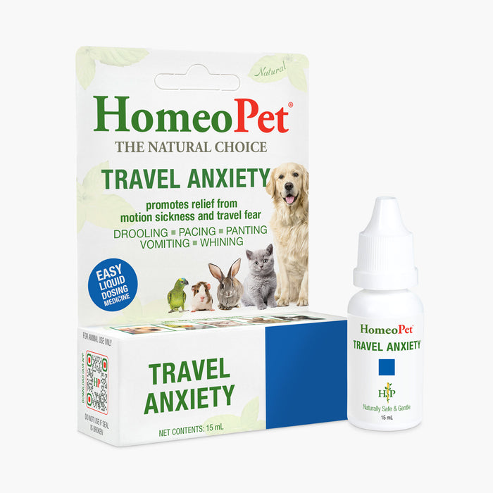 TRAVEL ANXIETY
