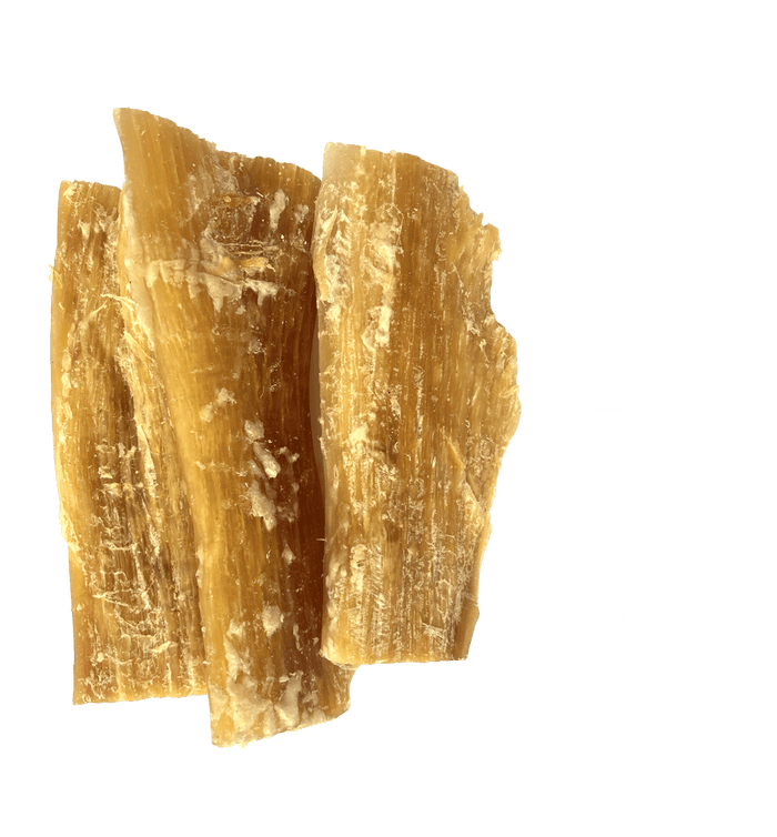 TRUE BLUE AUSSIE BEEF TENDONS 3PCS