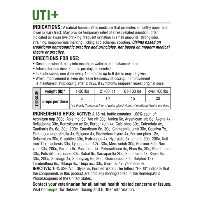 UTI+