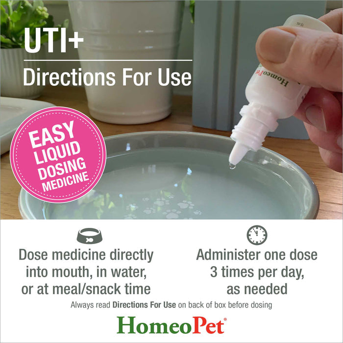 UTI+