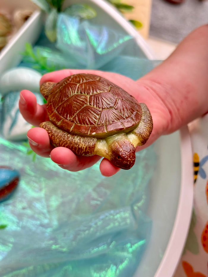 Yellow Door Ocean Life Sensory Play Stones