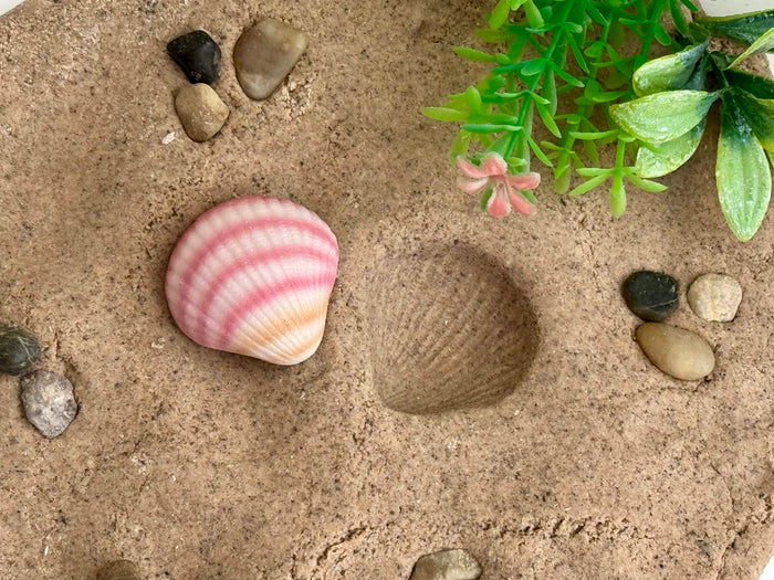 Yellow Door SeaShells Sensory Play Stones