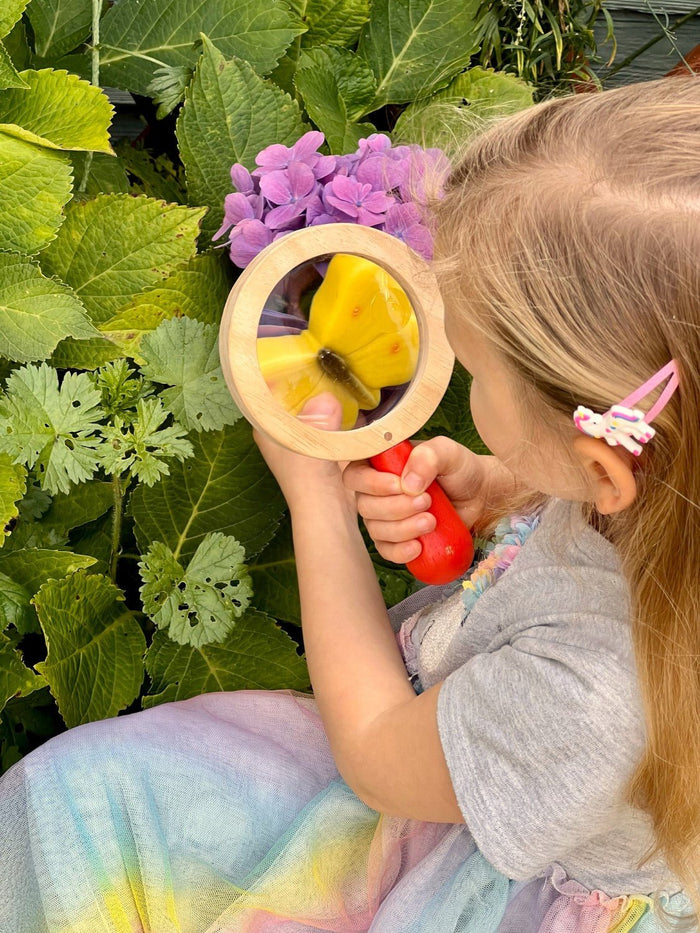 Yellow Door Sensory Play Stones - Butterflies  - Little Whispers